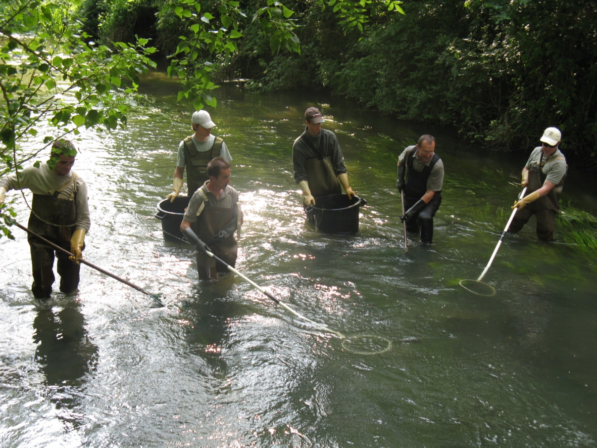 Société de pêche "Le Brochet Beugnolais"