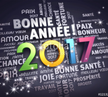 la municipalité vous souhaite une bonne année 2017