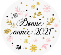 BONNE ANNEE 2021.....