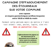 CAMPAGNE D'EFFAROUCHEMENT DES ETOURNEAUX